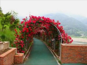 Flower corridors